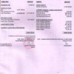 Balance-Sheet-2014-227×300.jpg