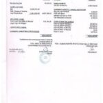 BalanceSheet_31March2013-218×300.jpg