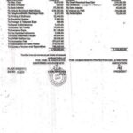 Income-Expenditure-2016-222×300.jpg